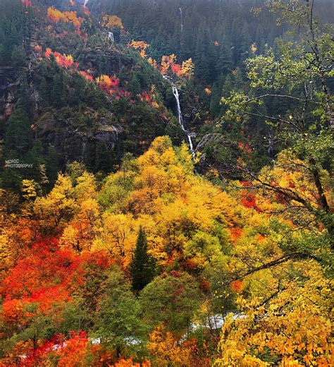 Red Yellow Orange Autumn Leaves Mountain Waterfall River Valley