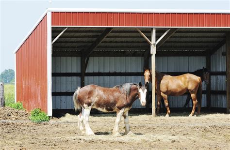 Planning Your Horses Run In Shed Horse Journals