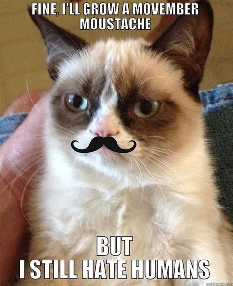 11 movember moustache memes for a good cause good laugh huffpost