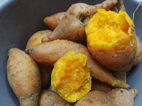 Ipomoea Batatas Boiled Sweet Potato Indonesian Traditional Food Stock