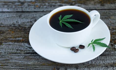 Cannabis Infused Coffee 5 Easy Steps Cannabis Supply Co