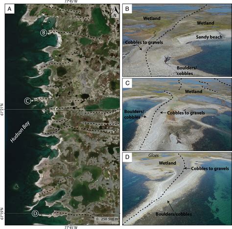 Morphological And Evolutionary Patterns Of Emerging Arctic Coastal