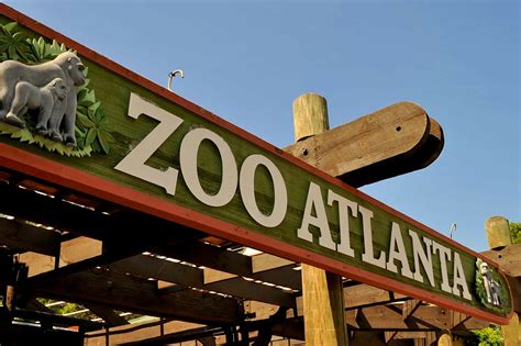 Explore The Atlanta Zoo Atlanta Luxury Rentals