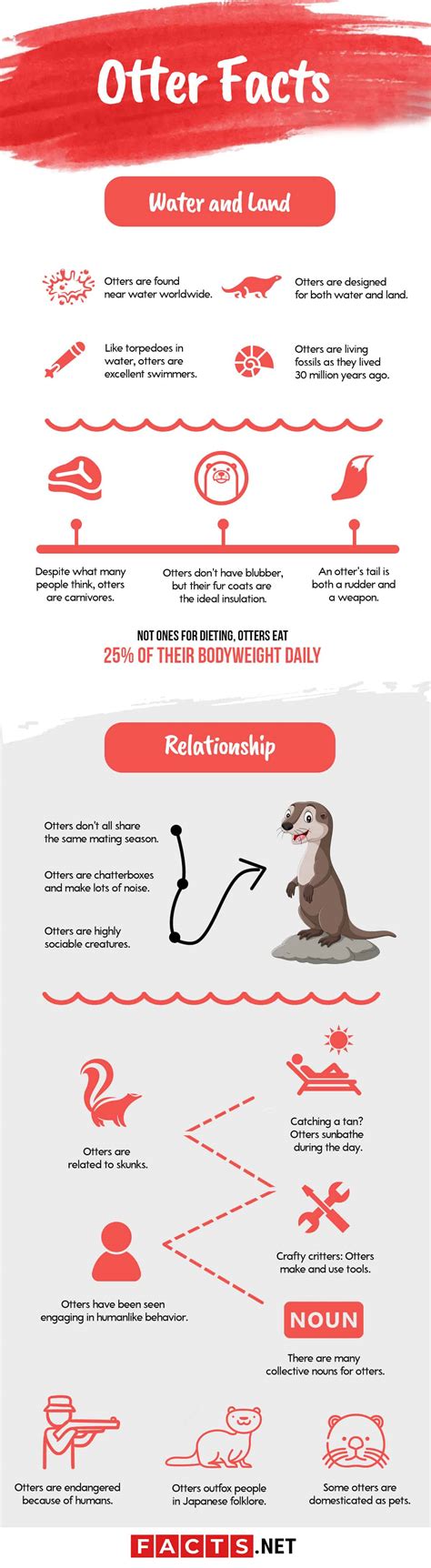 Top 19 Otter Facts Range Types Diet Predators And More
