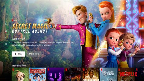 Netflix - Secret Magic Control Agency :: Behance