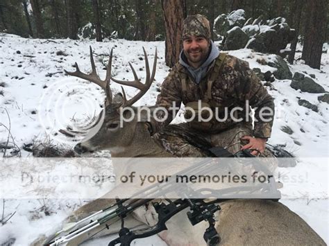 South Dakota Black Hills Whitetail