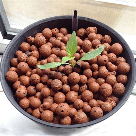 Expanded Clay Pebbles Leca For Hydroponic Aquaponic System China Clay
