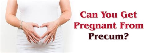 Can U Get Pregnant From Precum Porn Hub Sex