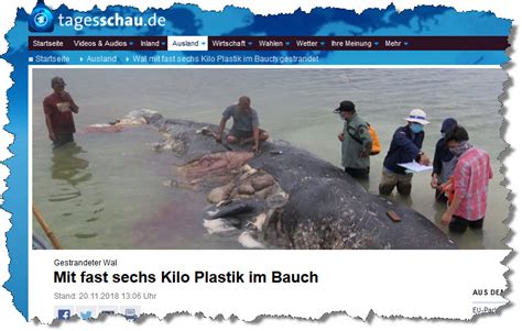 Indonesien Toter Pottwal Mit 6 Kg Plastikmüll Im Magen Aufgefunden Ökologisch Unterwegs Und