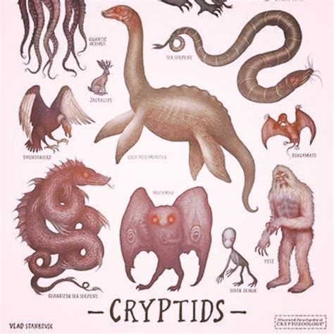 Daily Question What Is Your Favorite Cryptid And Why Mythology