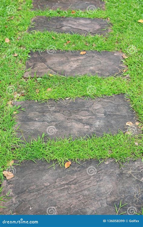 Stone Pathway In The Park With Green Grass Background Stock Image