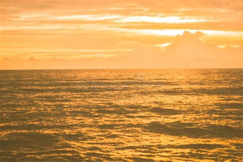 Golden Sea In Sunset Background Stock Photo Image Of Sunny Nature