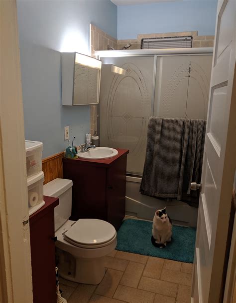 Unfortunately, you can only choose from three bathroom designs. Please help me with this awful rental bathroom : DesignMyRoom