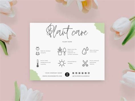 Editable Plant Care Card Template Succulent Care Cards Plant Etsy