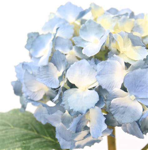 1 extra large light blue faux silk lacecap hydrangea realistic