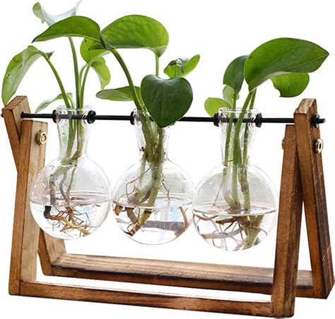 Plant Terrarium With Wooden Stand Neat Stuff To Buy