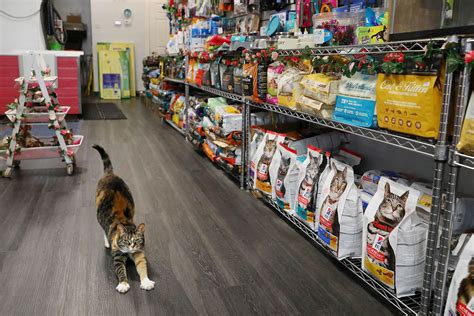 How To Find A Pet Store Near Me Mnepo — Pets And People