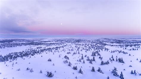 Free Images Sky Winter Snow Freezing Arctic Tundra Morning