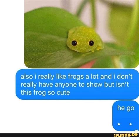 Also I Really Like Frogs A Lot And I Dont Really Have Anyone To Show But Isnt This Frog So
