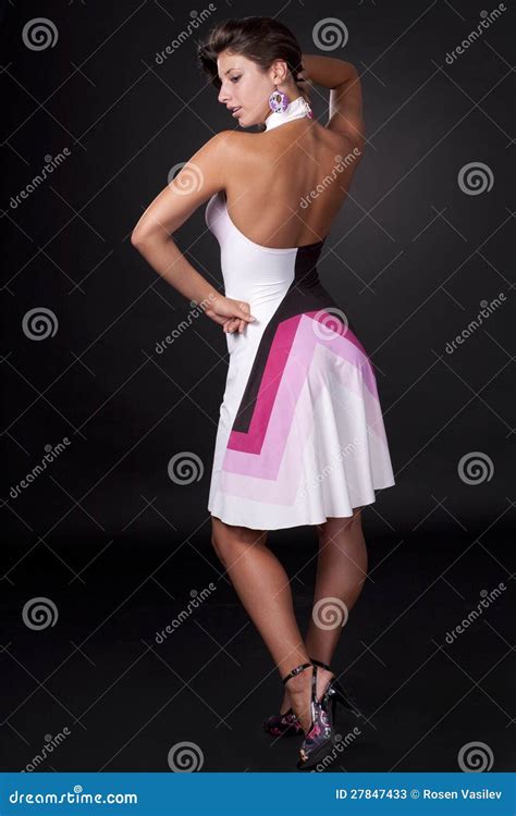 Brunette With Dress Stock Image Image Of Colorful Adult 27847433