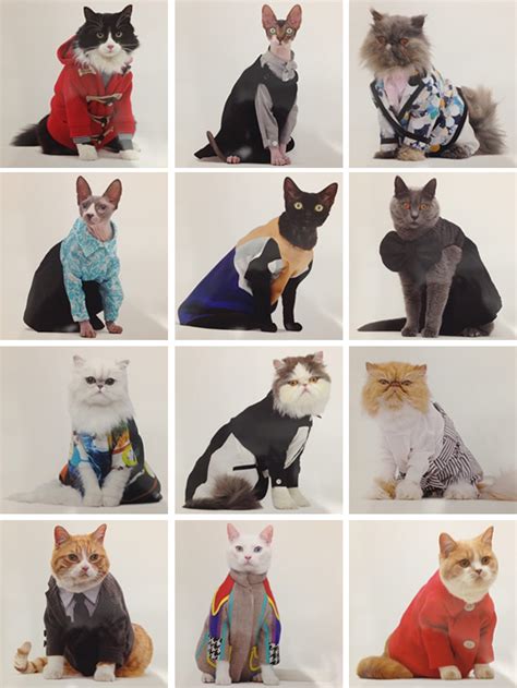 United Bamboo Cat Calendar Meet The Most Fashionable Felines Youll