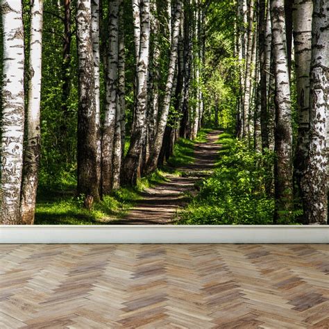 Wall Mural Forest And Sunshine Peel And Stick Repositionable Etsy