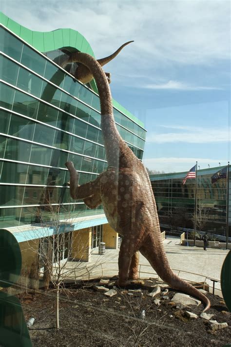 Rare Mummified Dinosaur In Indianas Children Museum Sportswire