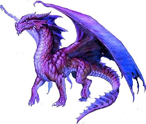 Free Purple Dragon Png Download Free Purple Dragon Png Png Images