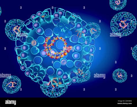 Bluetongue Virus Structure Illustration Stock Photo Alamy