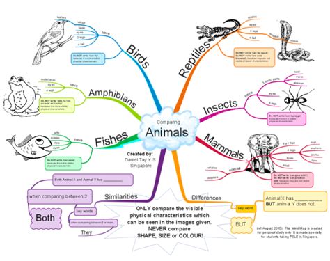 Animals Mindmapped Mind Map Mind Map Examples Mind Map Design