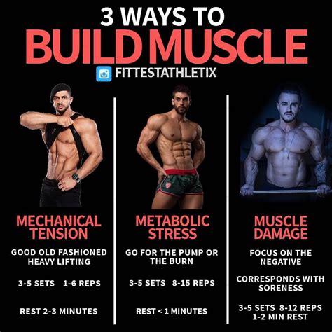 10 Rules For Building Muscles On Bulking Phase Gym