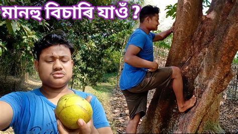 Assamese Lifestyle Vlogs Pokalaga Vlogs Daily Youtube