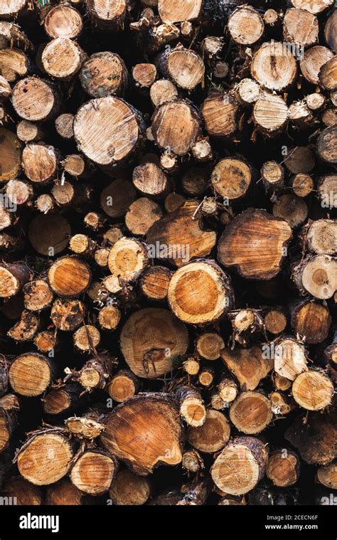 Closeup View Of Heap Of Wooden Logs Of Different Diameter Stock Photo