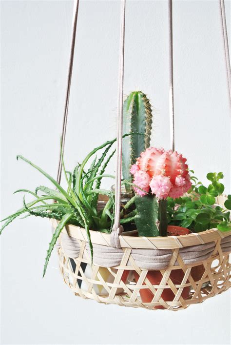 Top 9 Ideas To Display Indoor Plants L Stylish Indoor Plants