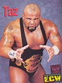 Taz Lucha Wrestling, Ecw Wrestling, Wrestling Stars, Wrestling ...