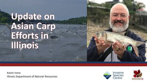 Update On Asian Carps Efforts In Illinois Youtube
