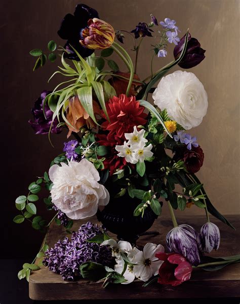 Floral Still Lifes By Sharon Core Katie Considers