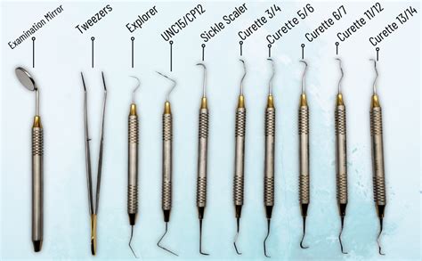 Types Of Dental Cleaning Tools Hoefferroegner 99
