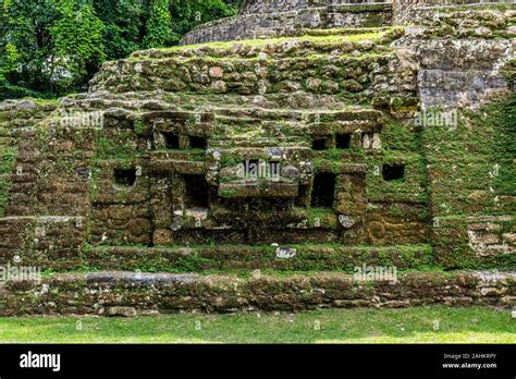 Lamanai Archaeological Reserve Mayan Ruins Jaguar Temple Belize Jungle