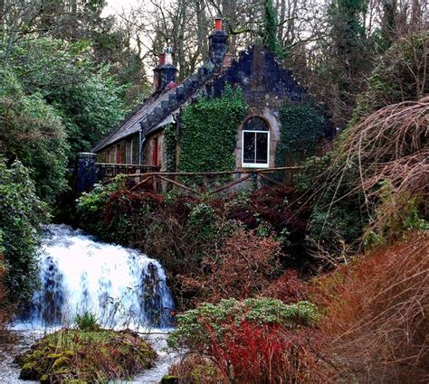 Hidden Scottish Woodland Cottage And Waterfall Woodlands Cottage