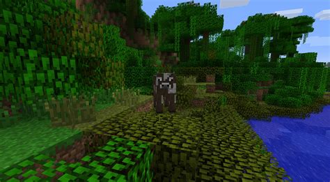 What Is The Purple Grass Called Near Swamps In Minecraft Arqade