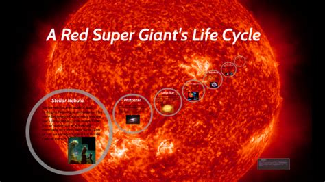Red Super Giants Life Cycle By Cara Courtright