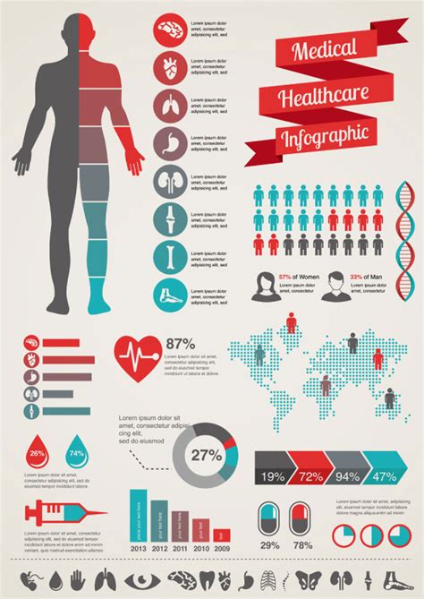 Medical Infographics Creative Design Vector 05 Free Download
