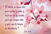 Juan 10:10 ~ Imagenes Cristianas Gratis