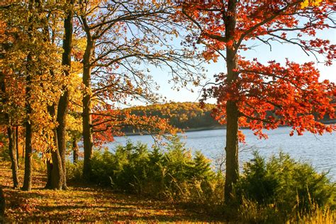 When And Where To See The Best Fall Foliage In The U S This Year My
