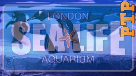 London Aquarium Youtube