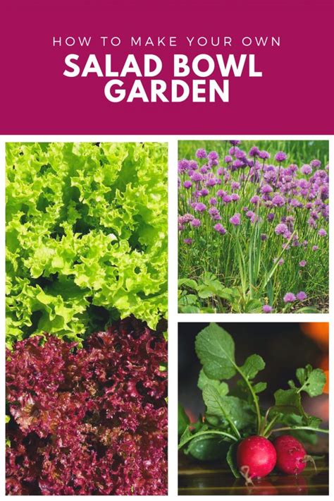 The Cover Of How To Make Your Own Salad Bowl Garden With Pictures Of