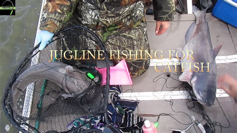 Jug Line Fishing For Catfish GiĂng CÂu CÁ BÔng Lau KhỦng Ep27 Youtube