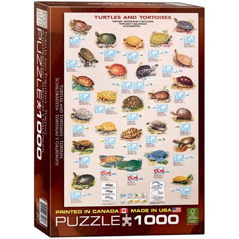 New Turtles And Tortoises Jigsaw Puzzle 1000 Piece Model7968442