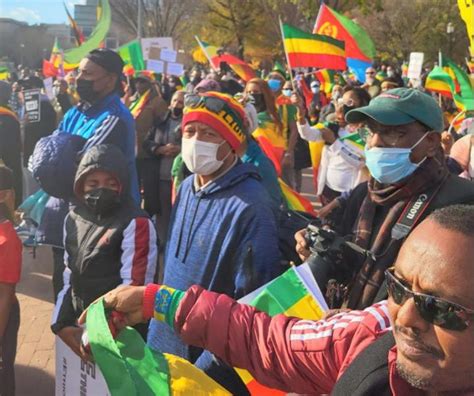 Ethiopians Friends Of Ethiopian Rally In Washington To Denounce Us